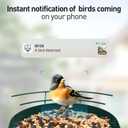 Soliom- Bird Feeder with Camera, 5W Solar Powered, AI Identify Species, Smart Wild Bird Watching, 2K Live View, Instant Arrival Alerts,Large 2.7L Seed Capacity, Metal Squirrel Chew-Proof - BF08 Green