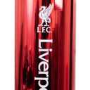 Hy-Pro Officially Licensed 750ml Aluminium UV Bottle| Soccer, Football, Integrated Folding Straw, Neochrome Finish, Leakproof, Lightweight, BPA Free