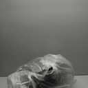 12'' x 150' Black Chicken Wire Mesh Fence, 19 Gauge Galvanized Poultry Netting and 1 inch Garden Mesh Fence Roll, Chicken Wire for Floral Arrangements/Crafts/Farm/Livestock/Pet Protection