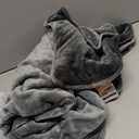LOOBANI Waterproof Dog Blanket for Couch: Reversible Flannel Bed Blanket for Medium Large Dogs Liquid Proof, Soft Throw Blanket Couch Cover Protector for Sofa, Crate, Travel, Picnic, Grey, 4x5Ft