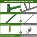 4PCS Tomato Cages for Garden, Tomato Trellis for Raised Garden Bed, 51.2" Tall Cage Plant Support for Pots, Gardening Supplies Trellis for Climbing Plants (4PCSHigh: 51.2 Inch)