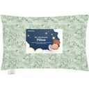 Toddler Pillow with Pillowcase - 13x18 My Little Dreamy Kids Travel Bed Pillows for Sleeping, Organic Cotton Small Pillowcase, Soft & Breathable, Machine Washable, Toddlers 2-5 Years Old (DinoDood)
