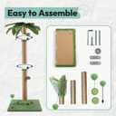 Cat Scratching Post, 34'' Tall Cat Scratchers for Indoor Cats with Hanging Balls, Tall Cute Sisal Kitten Scratch Post with Reinforced Stable Base, Green, Medium