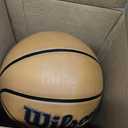 WILSON NBA Authentic Series Outdoor Basketballs, Size 6 - 28.5"