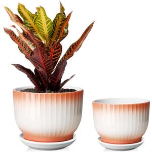 6.7 + 5.5 Inch Ceramic Plant Pots,Planters with Drainage and Saucer,Indoor Pots for Plants,Modern Flower Pots for Home and OfficeOrange + White