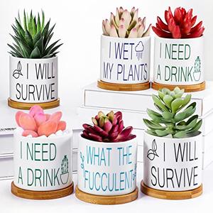 4 Pieces Succulent Pots Funny Sarcastic Succulent Cactus Planters Gifts for Grandma Friend 3.2 Inch with Drainage and Bamboo Tray White Ceramic Pot for Plants Garden Decorative (Fresh Style)