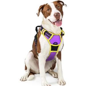 Rabbitgoo Dog Harness No Pull with 2 Leash Clips, Adjustable Soft Padded, Reflective Oxford No Choke Pet Vest with Easy Control Handle for  Dogs, Purple & Yellow, L