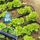 Soaker Hose 100ft (50ft*2), Heavy Duty Garden Hose for DIY Irrigation System,Drip Irrigation Hose Save 80% Water, Leakproof Design, Flexible Water Hose with Holes for Lawn, Garden Bed, Vegetable Field