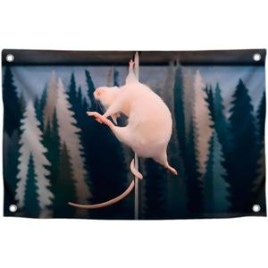 2 x 3x5 Ft Single Sided Polyester Flag with 4 Brass Grommets - Funny Pole Dancing Rat Meme Poster for College Dorm - Silly Banner Tapestry for Garden Decor - Cool Apartment Flag for Indoor or Outdoor