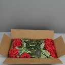 Alupssuc 8Pcs Artificial Geranium Flowers for Outdoors Decoration Silk Floral, UV Resistant Fake Plants, Faux Flower for Porch Garden Table Centerpieces Home Indoor Outside Spring Decor(8, Red)