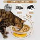 Slow Feeder Cat Bowl Set of 2, Ceramic Slow Feeding Cats Bowl Whisker Friendly, Anti Vomiting Cat Feeder for Dry and Wet FoodFun Maze Interactive Bloat Stop Puzzle Bowls for Healthy Eating Diet