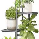 LINZINAR Plant Stand Indoor Outdoor Corner 4 Tier Metal Plant Shelf Patio Plant Rack for Garden Corner Balcony Living Room (Dark Grey)