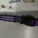Martingale Collar for Dogs,Reflective Escape Proof,Purple,M