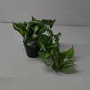 Artificial Devil's Ivy Golden Pothos Fake Plant,Hanging Potted Plants for Wall Home Patio Indoor Outdoor Decor(H 26in) (Medium)