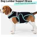 Dog Back Brace, Breathable Dog Post-Surgery Vest for IVDD, Arthritis & Spine Support, Adjustable Reflective Pet Back Bracer Pain-Relieving Harness, Black M