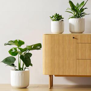 LE TAUCI Fluted Ceramic Planters Set of 3  8.3/7 / 5.7 in White Cylinder Indoor Plant Pots with Drainage Plug & Mesh, Matte Glazed Stoneware Flower Pots for Succulent Herb Cactus