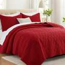 Lavsiry Red Queen Size Quilt Bedding Set with Pillow Shams, Summer Lightweight Bedspread Coverlet, Soft Quilted Blanket Thin Comforter for All Seasons (Full/Queen(90"x96"))