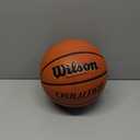 WILSON Evolution Indoor Game Basketballs - Size 5, Size 6 and Size 7
