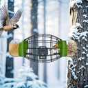 LONA Squirrel Proof Bird Feeding Cage for Outdoors - All-Weather Metal Caged Bird Feeders with Peanut Butter Jar Holder, Chew-Proof Feeding Cage for Small Birds (Oval Cage, 2 Feeding Units)