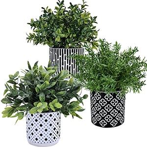 Winlyn 3-Pack Artificial Potted Plants - Faux Eucalyptus, Rosemary, Boxwood Greenery in Small Black & White Geometric Concrete Pots -Desk, Table, Shelf, Windowsill Decor for Indoor Outdoor Home Office