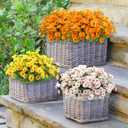 Lcuasc 10pcs Outdoors Artificial Mum Flowers UV Resistant Daisy Fake Silk Chrysanthemum Greenery Faux Eucalyptus Plants for Spring Summer Garden Patio Window Box Planter Home Decor(Pink)
