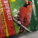 Audubon Park 1845 High Energy Suet Wild Bird Food 11.75 oz Bag Suet, Best Before May 28 2028 