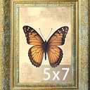 Vintage Picture Frame, Decorative Wall Hanging and Tabletop Display Photo Frame (Gold, 5X7)