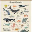 MOFUYU Ocean Nursery Decor,Ocean Alphabet Poster for Classroom Wall,ABC Posters Hanger Frame for Kidsroom,Nursery,Classroom,Kindergarten 12x16 Inch