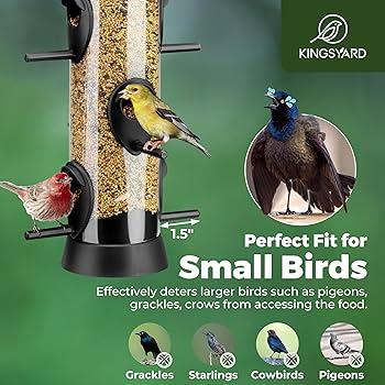 Kingsyard 2 Pack Tube Bird Feeders for Outdoors Hanging, Wild Bird Feeder with 6 Feeding Ports, Easy to Clean & Refill, 2 lbs Seed Capacity, Great for Attracting Finches, Cardinals (Black)