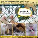 600g Organic Apple Sticks Small Animals Molar Wood Treats Toys for Chinchillas Guinea Pig Rabbits Hamster Gerbil Parrot Bunny Chew Stick Toys, 21.2 OZ (1.33 Pound (Pack of 1))