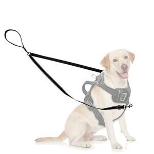 Two Point Control Dog Leash Soft Padded and Reflective Nylon Walking Lead No Tangle Training Leashes Converts to Single Lead Works with No Pull Harnesses for Medium Large Dogs (Black)