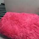 Fluffy Rugs for Living Room, Soft Shaggy for Bedrooms, Hot Pink Area Rug for Bedroom, Cozy Fuzzy Carpet for Kids, Perfect Indoor Decor for Boys and Girls 5x7 Feet