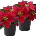 2 Pack Poinsettias Artificial Christmas Flowers Small Red Poinsettia Plant Artificial 9 Inch Faux Winter Flowers for Porch Home Garden Decorations Indoor Outdoor Xmas Ornament