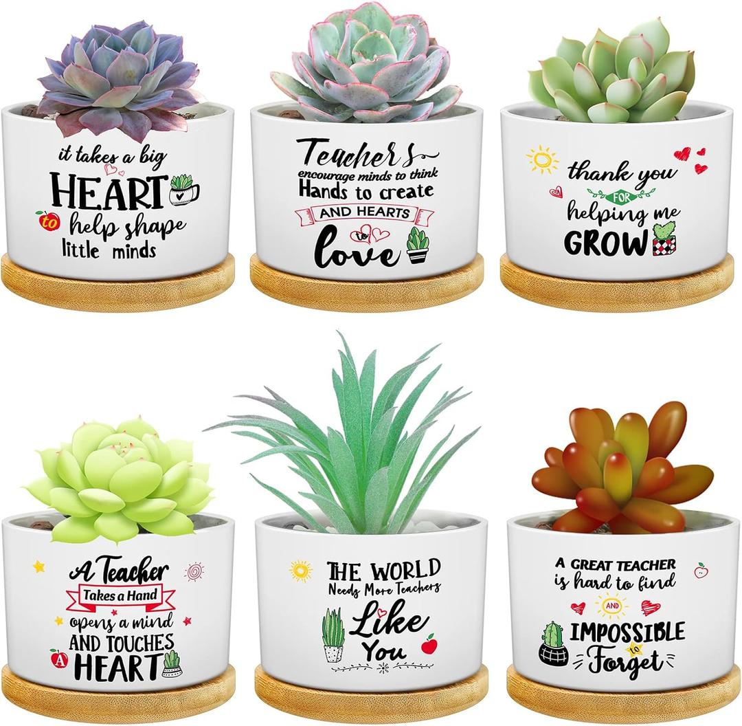 6 Pcs Teacher Appreciation Gifts Good Teacher Ever Gift Funny Cute Succulent Plant Pot with Bamboo Tray Ceramic Planter Accessories for Women Graduation Birthday (Bright Style)