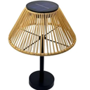 Portable Solar Garden Lamp with Warm White LED Light