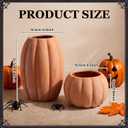 Qinyoung 2 Pack Halloween Terracotta Pumpkin Vase Fall Clay Pot