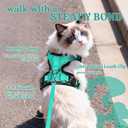 rabbitgoo Cat Harness and Leash for Walking, Escape Proof Soft Adjustable Vest Harnesses for Cats, Easy Control Breathable Reflective Strips Jacket, Emerald, Small