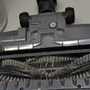 Shark | Pet Cordless Vacuum Cleaner | LED Headlights | Removable Handheld Vacuum for Pet Hair | Crevice Tool & Pet Multi-Tool Included | 40min Runtime | For Carpet & Hard Floors | Grey | IX141