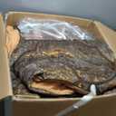 Loom and Mill 9-Piece Jacquard Comforter Set, Luxury Classic Antique Comforter Queen Sets, Ultra Soft Damask Bedding with Euro Shams, Bedskirt, Filled Decorative Pillow for Home (Bronze Gold, Queen)