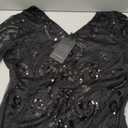 Women 1920s Gatsby Vintage Sequin Flapper Fringe Party Plus Dress with 20s Accessories Set (X-Large, Black Silver)