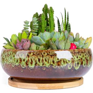 ARTKETTY Succulent Pots - 7.5 Inch Large Plant Pot with Bamboo Tray, Shallow Bonsai Pots with Drainage, Ceramic Planter for Indoor Plants, Cactus, Home Office Desk Decor