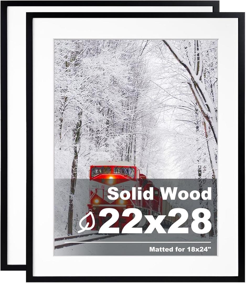 Egofine 22x28 Solid Wood Poster Frames Matted for 18x24 Set of 2 Black - with Acrylic Plexiglass Front, Hanging Picture Frames Vertically or Horizontally