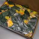 TUPARKA Sunflower Birthday Party Decorations Kit Sunflower Banner Yellow Balloon Arch Sunflower Vine Sunflower Heads Table Covers Cake Toppers 146 Pack Sunflower Party Supplies for Baby Shower Dcor