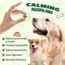 Calming Chews for Dogs - Natural Melatonin Pet Supplement Support Anxiety Relief Sleep Aid & Relaxation for Thunderstorms, Fireworks and Separation Vet Approved Soft Treats, Chicken Flavor 100 Chews, Expiration Date 08/02/2024 