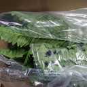 Artificial Boston Ferns, Fake Bush Plants for Outdoors
UV Resistant, Single Large Faux Ferns, Zero Maintenance, Pet Friendly