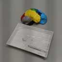 Life Size Human Half Brain Anatomy Model Colored Medical Teaching Tool for Kids Educational Science Kits with Detailed Brain Structure