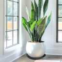 6 Pack of 12 inch Plant Saucer Plant Tray, Plastic Plant Saucer, Heavy Duty Plant Tray for Pots, Plant Saucers for Indoors Planter, Garden Water Plate Bowls (Black)