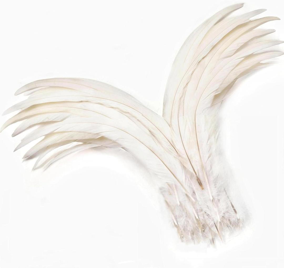 Holmgren Off-White Rooster Tail Feathers - 60pcs 12-14inch Large Rooster Tail Feathers Bulk for DIY Crafts, Wedding Party Performances Christmas DecorationOff White)