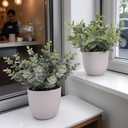 Artificial Plants Decoration Norfolk Potted Faux Fake Eucalyptus mini Cute sage Greenery Indoor Outdoor House Home Living Room Bathroom Coffee Table Desk Office Spring Decor 2 pots