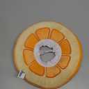 ANWA Adjustable Cat Cone Collar Soft, Cute Cat Donut Collar After Surgery, Kitten Recovery Cones to Stop Licking (Medium, Orange)